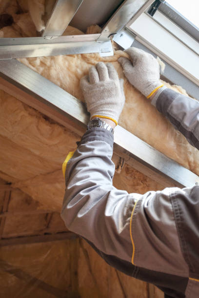 Best Residential Insulation in Westvle, IL