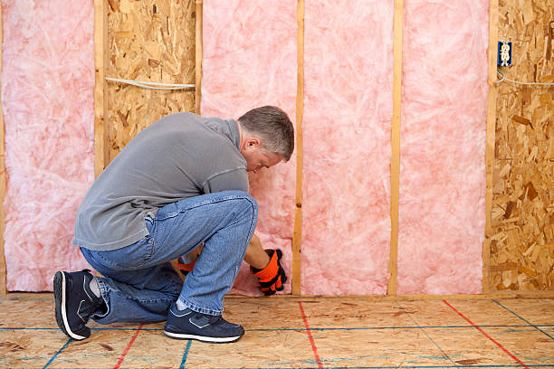 Best Insulation Materials and Products in Westvle, IL